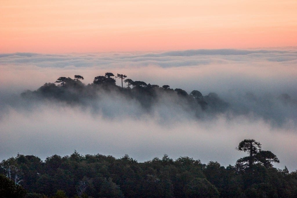 Lake District Chile Conguillio Mist