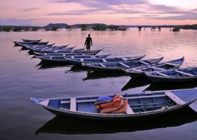 aaronphillipschroder@gmail.comzon River Brazil | Landed Travel