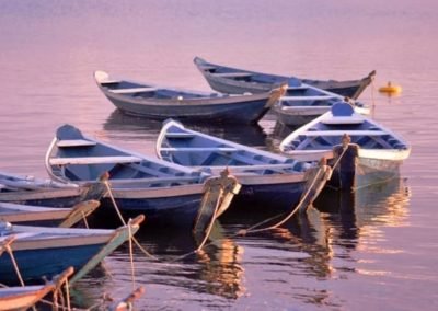 aaronphillipschroder@gmail.comzon River boats | Landed Travel