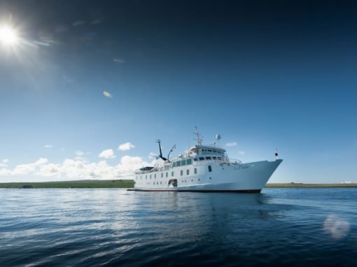The Pinta Galapagos Yacht | Landed Travel