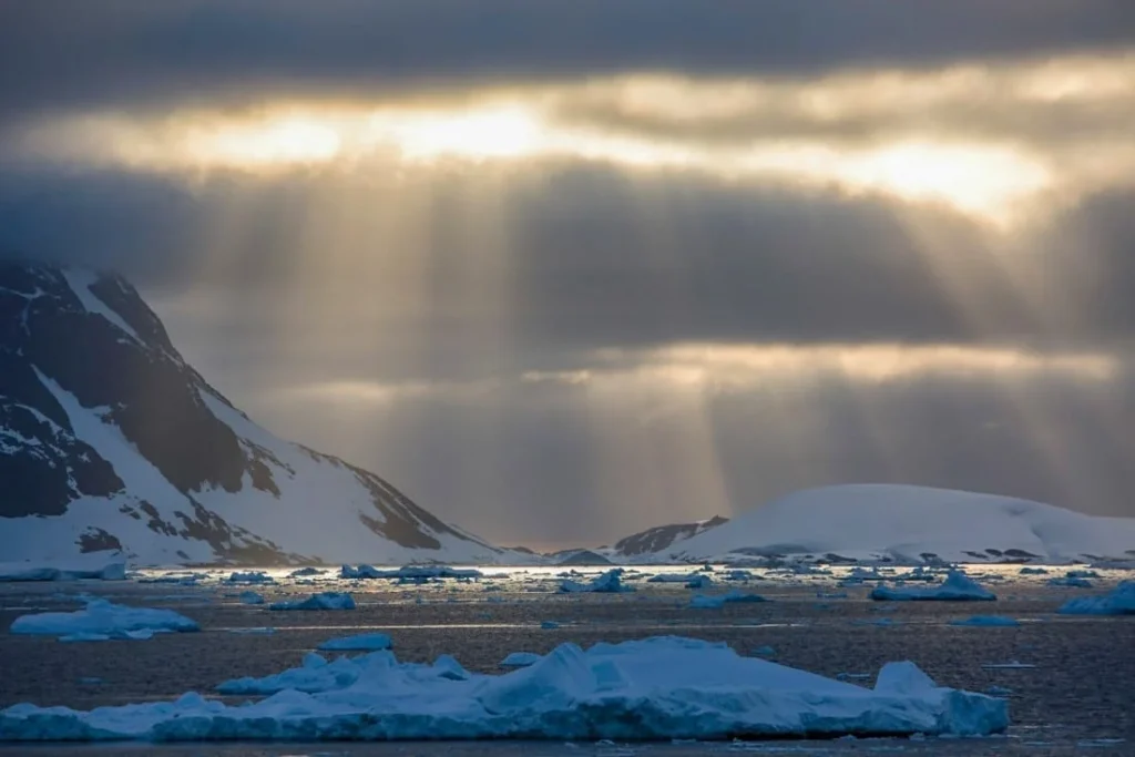 Onion Cruise Nat Geo