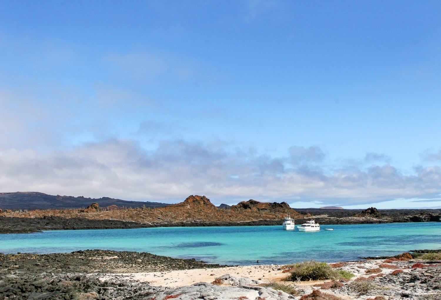 two white boats