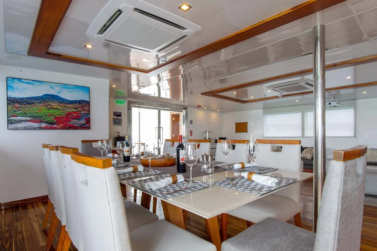 Infinity dining room | Landed Travel