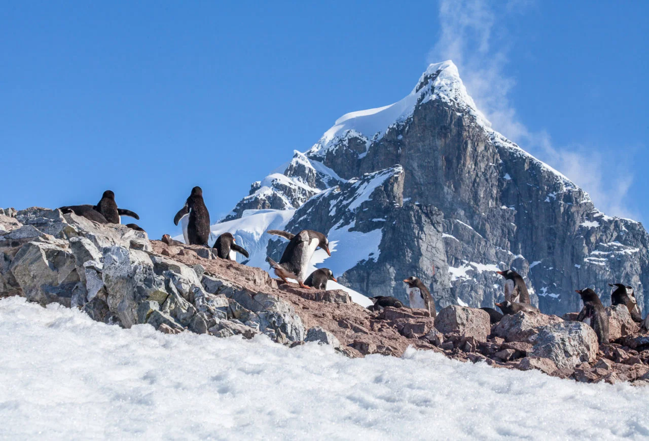 Antarctica-Polar-Latitudes-Hebridean-Sky-John-Montgomery-Viewpoint-29-1280x871-1