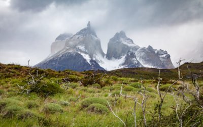Torres del Paine Travel Album