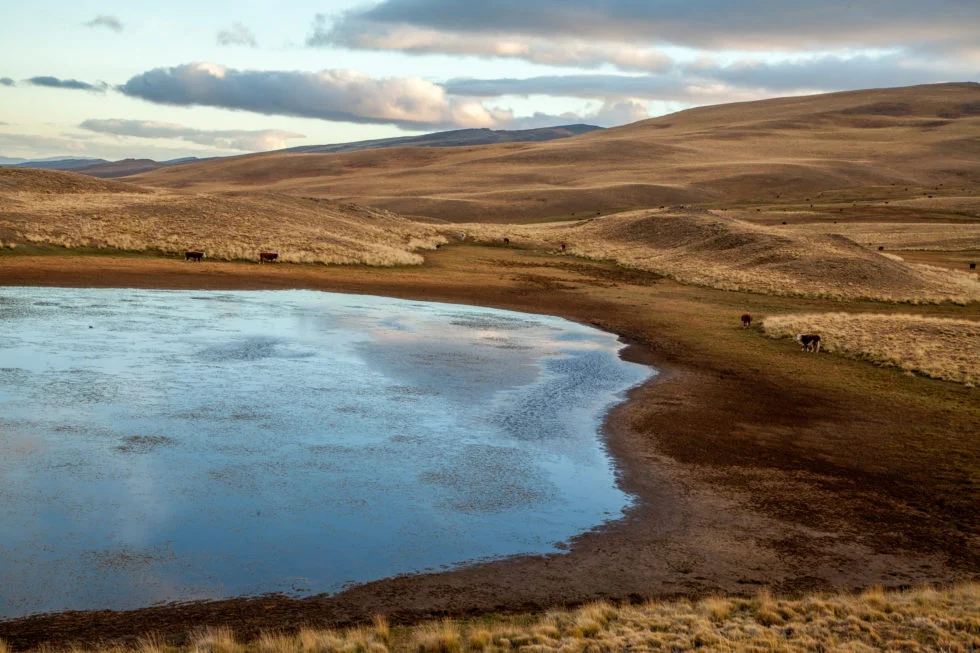 Remota- Torres del Paine National Park