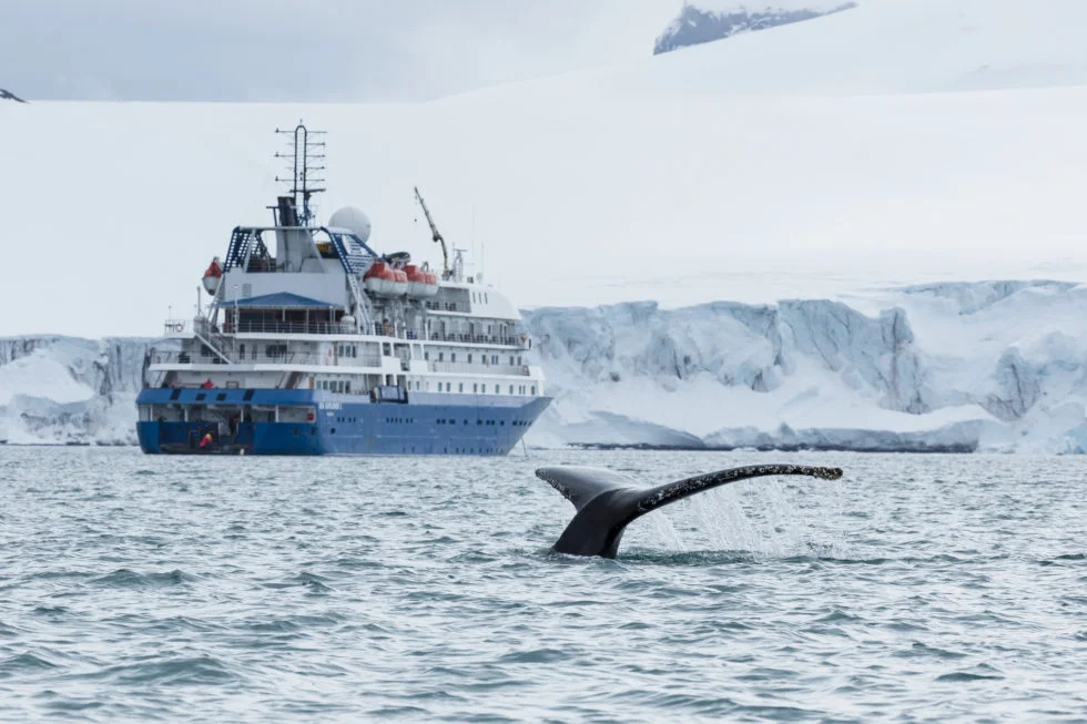 Antarctica