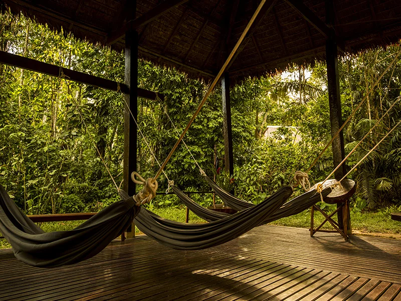 Hammocks
