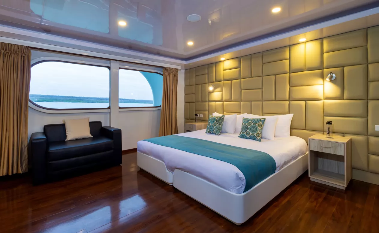 Petrel Motor Catamaran