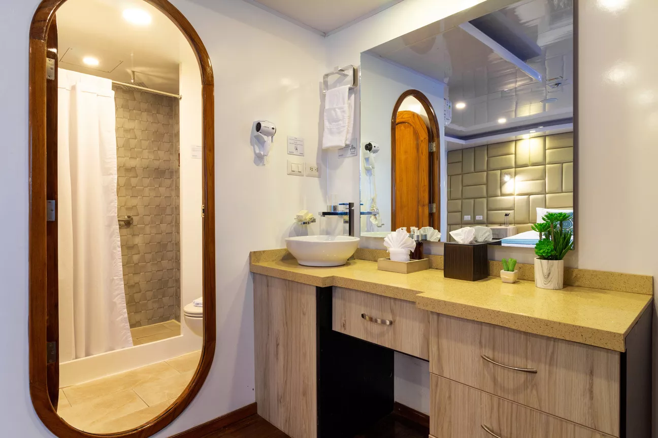 Petrel Motor Catamaran