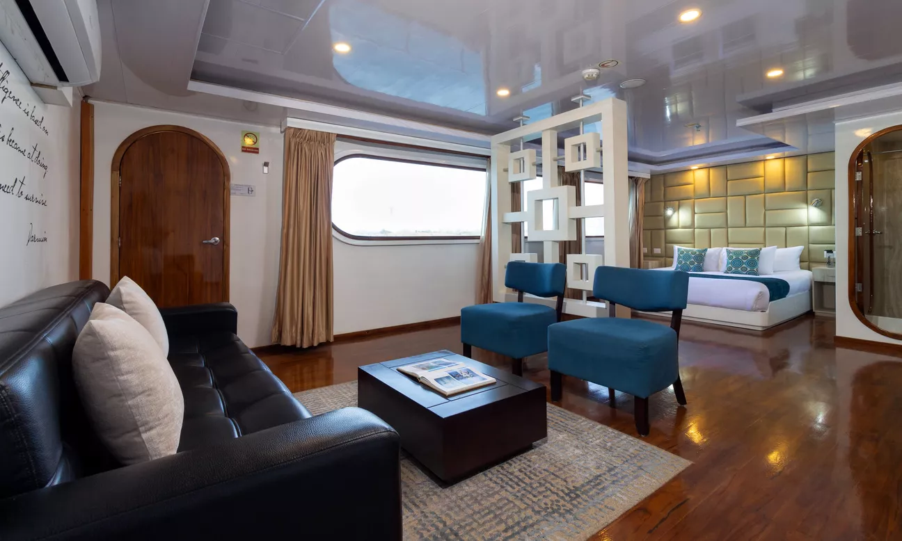 Petrel Motor Catamaran