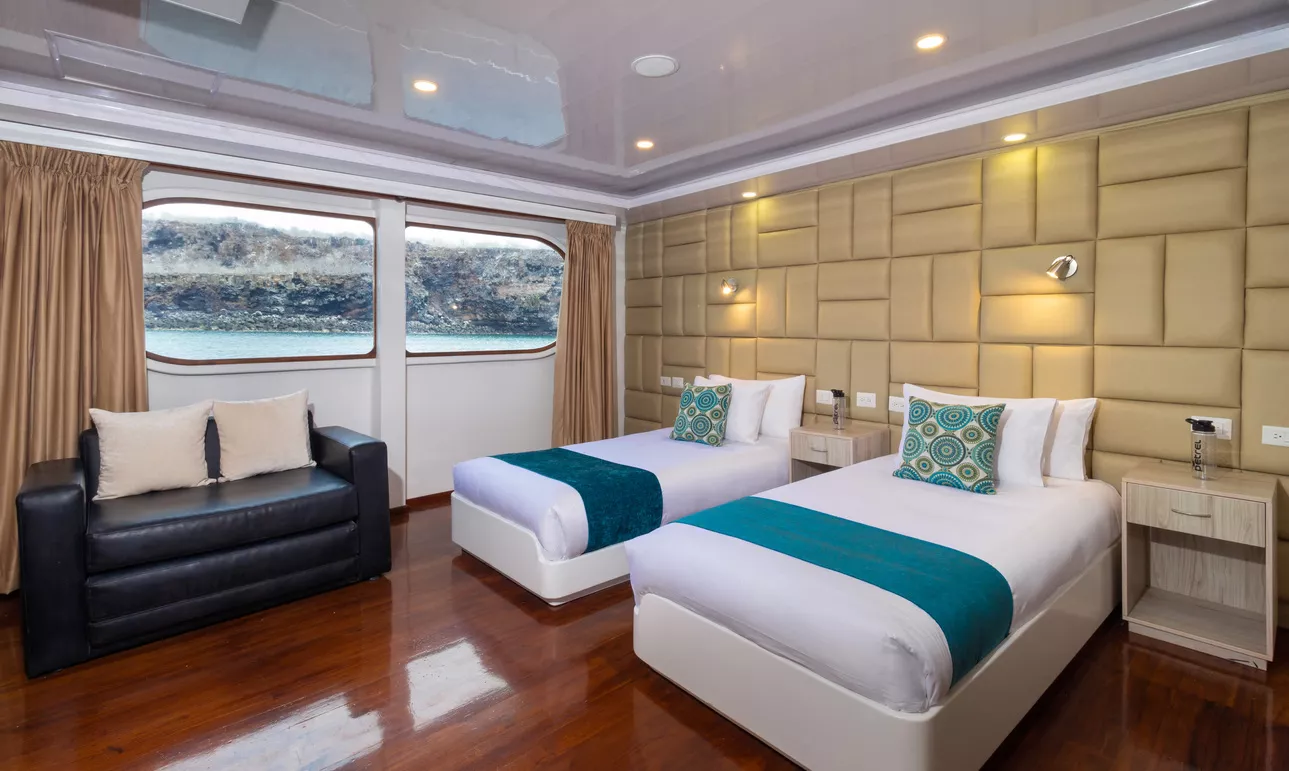 Petrel Motor Catamaran