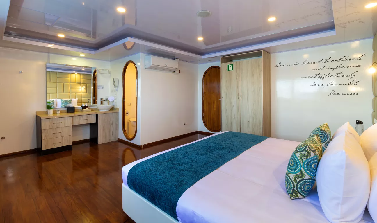 Petrel Motor Catamaran