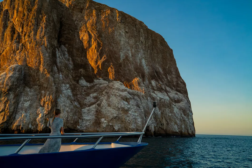 Ocean Spray Catamaran Cruise