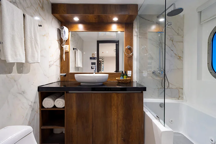 Lower Deck Cabin - Bathroom