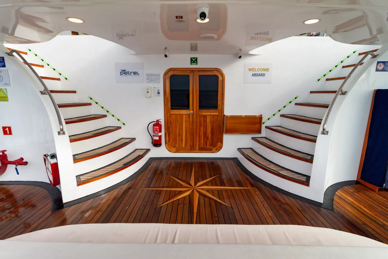 Petrel Motor Catamaran