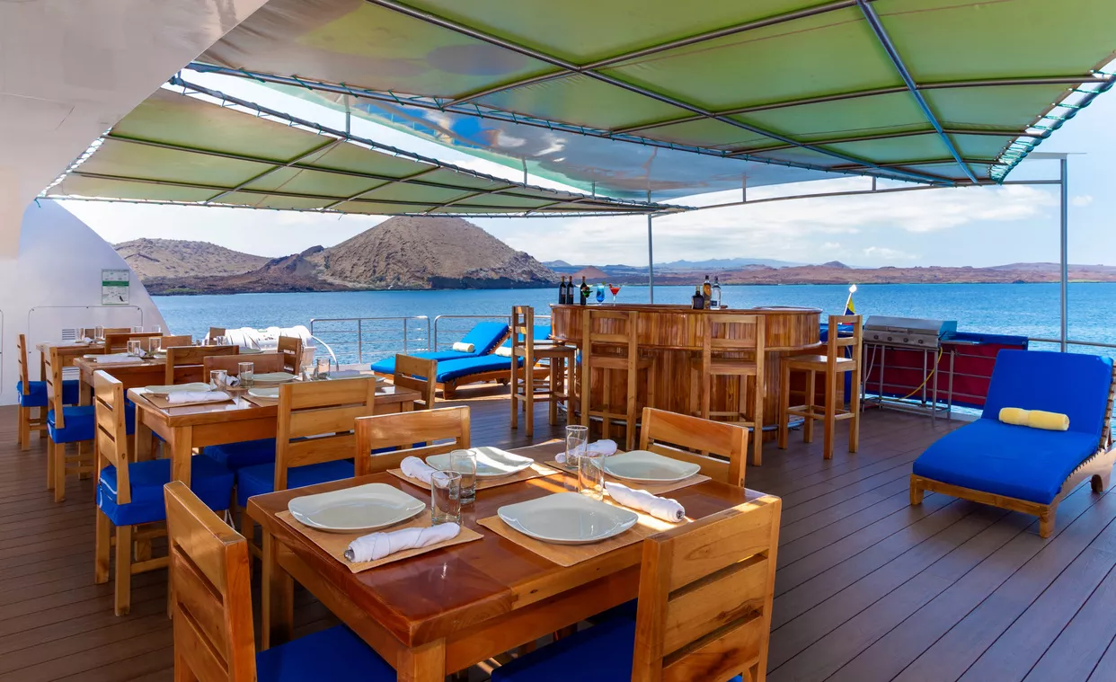 Petrel Motor Catamaran