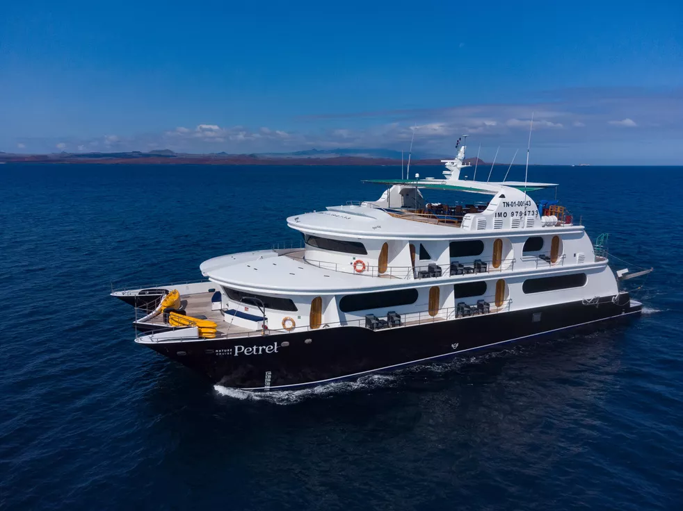 Petrel Motor Catamaran