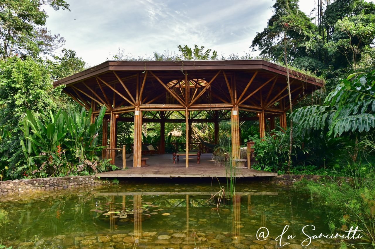 Banana Bamboo Ecolodge: Sustainable Lodge in Brazil | LANDED Travel