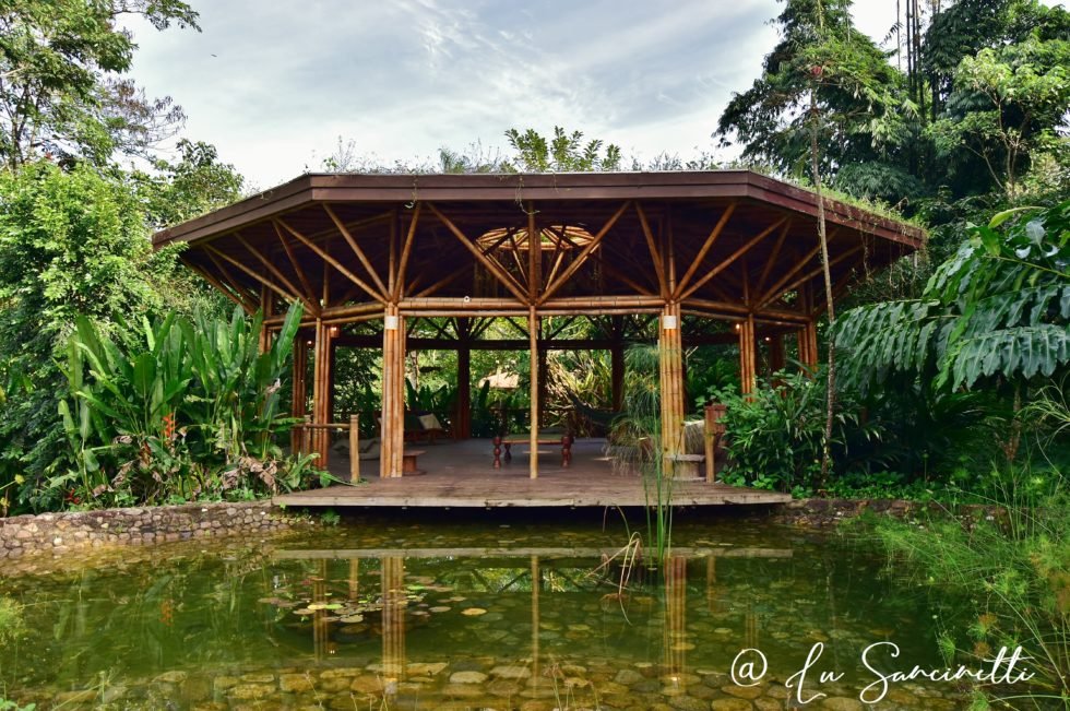 nativa bambu eco lodge nativa bambu eco lodge