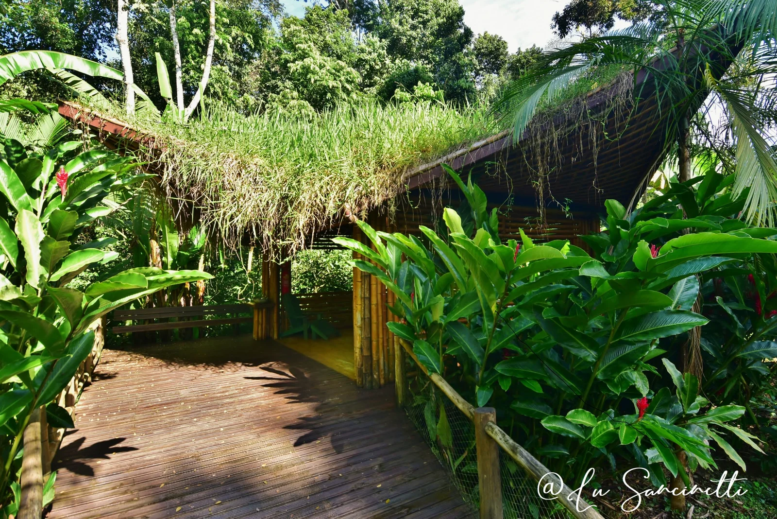 ‘Natural construction’ techniques