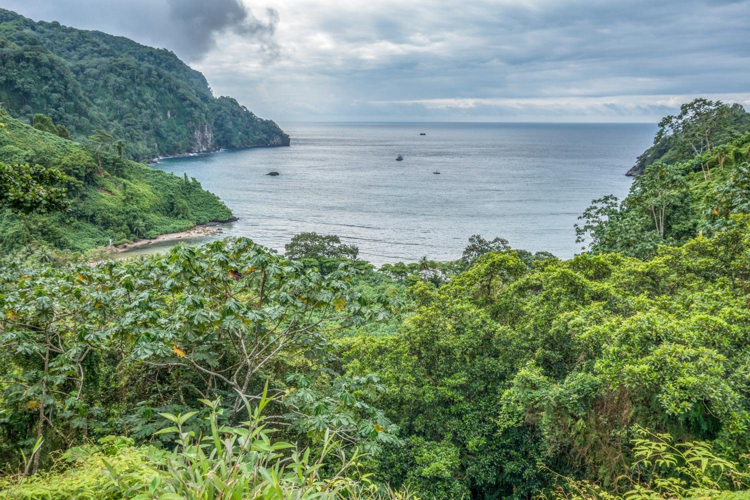 Visit Cocos Island National Park: Travel to Costa Rica | LANDED