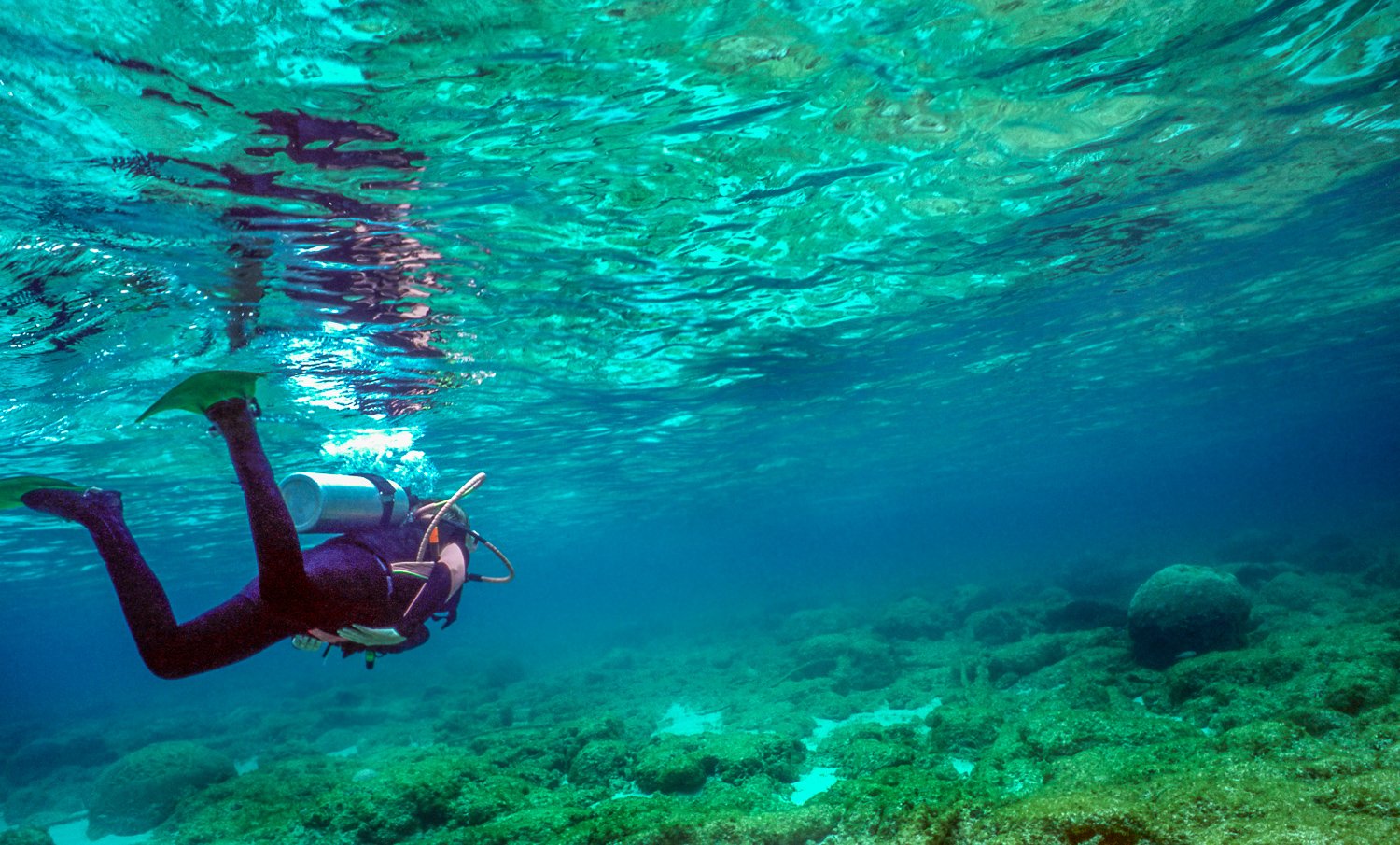 Diver in Shallow water