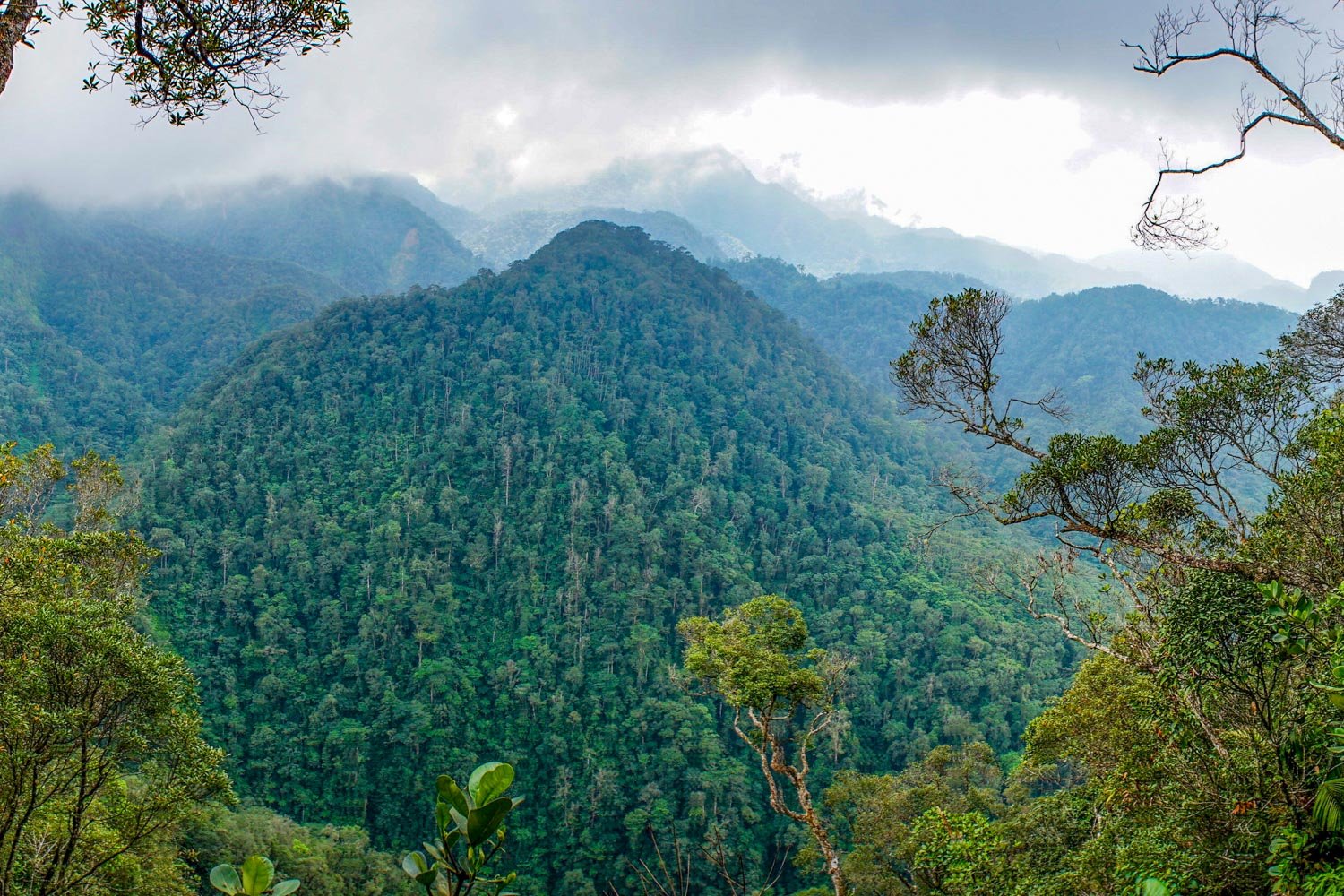 National-Parks-Honduras-2-Landed-Travel-Private-Travel