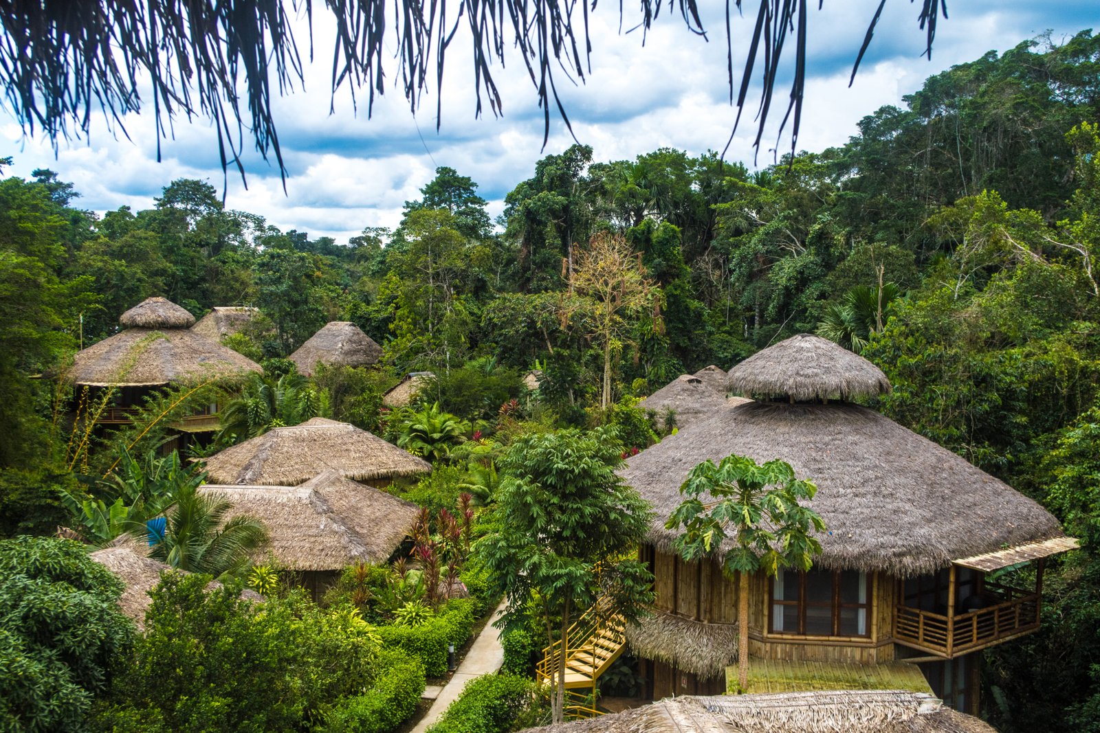 La Selva: Luxury Hotel Experience in The Amazon | LANDED Travel