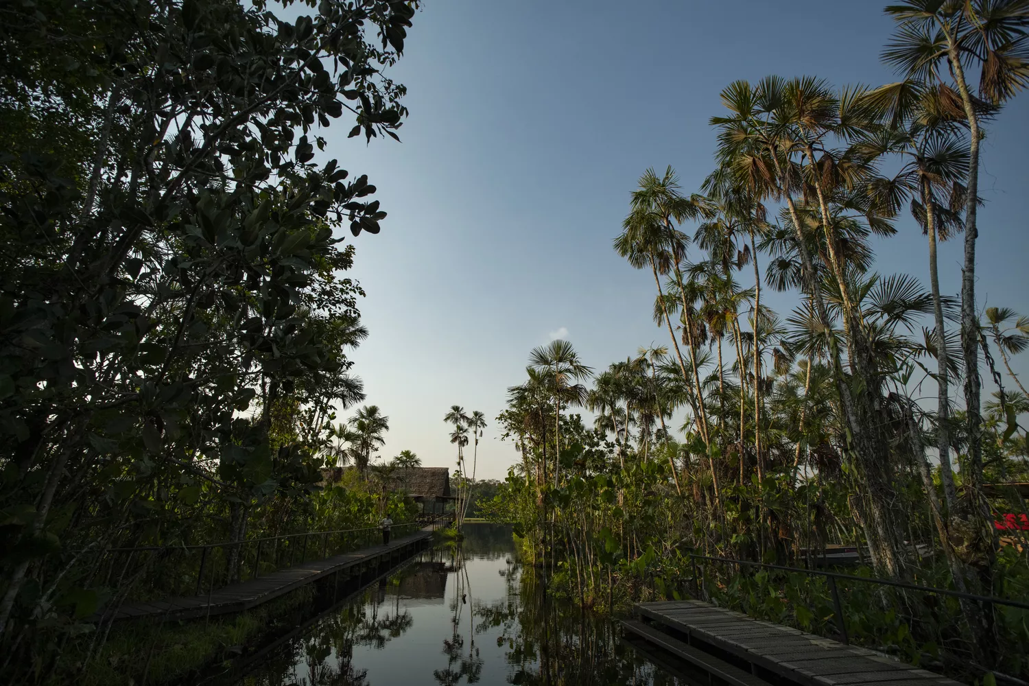 Pilchicocha lake views