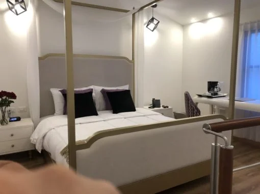 Duplex Standard Suite