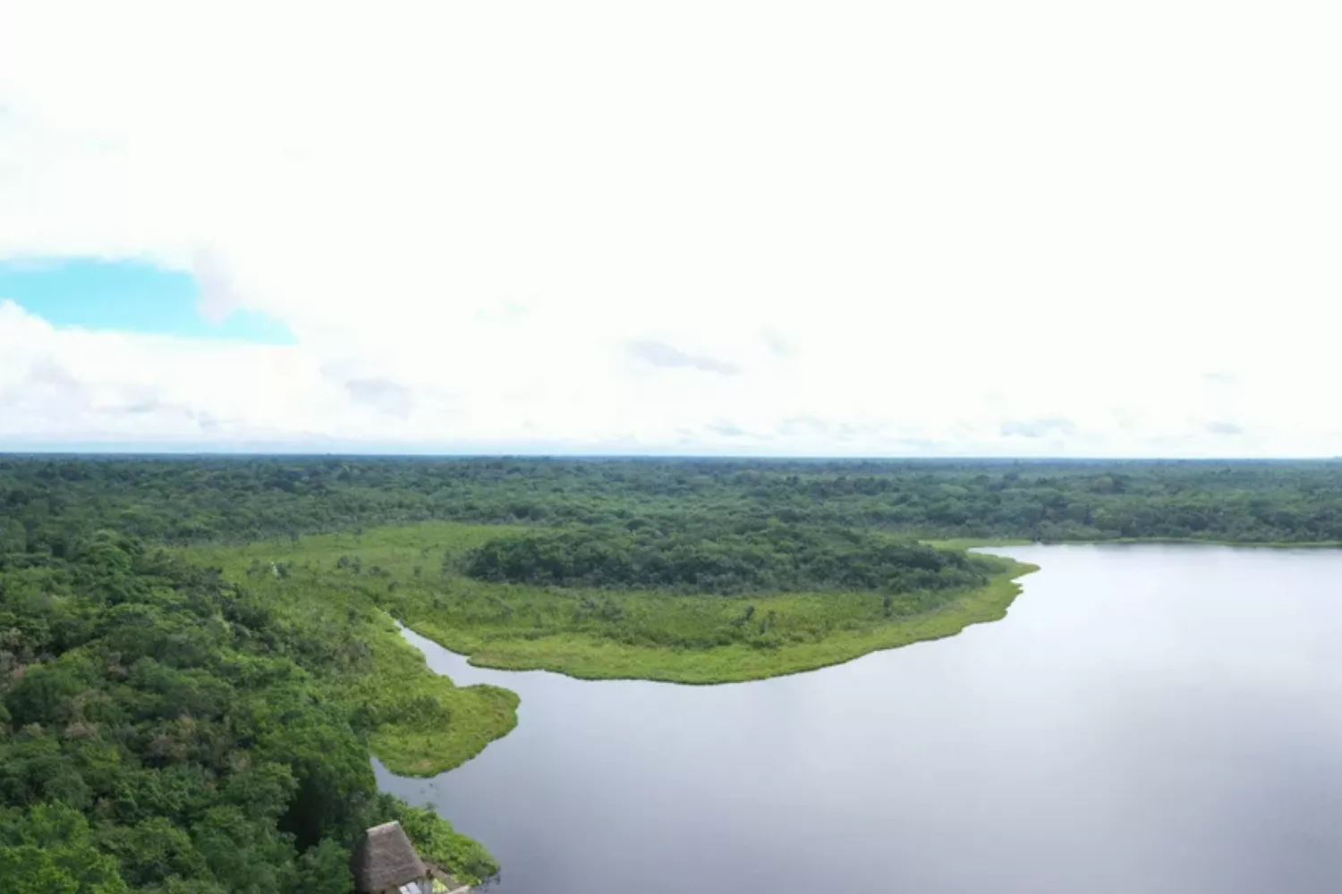 Napo Wildlife Center