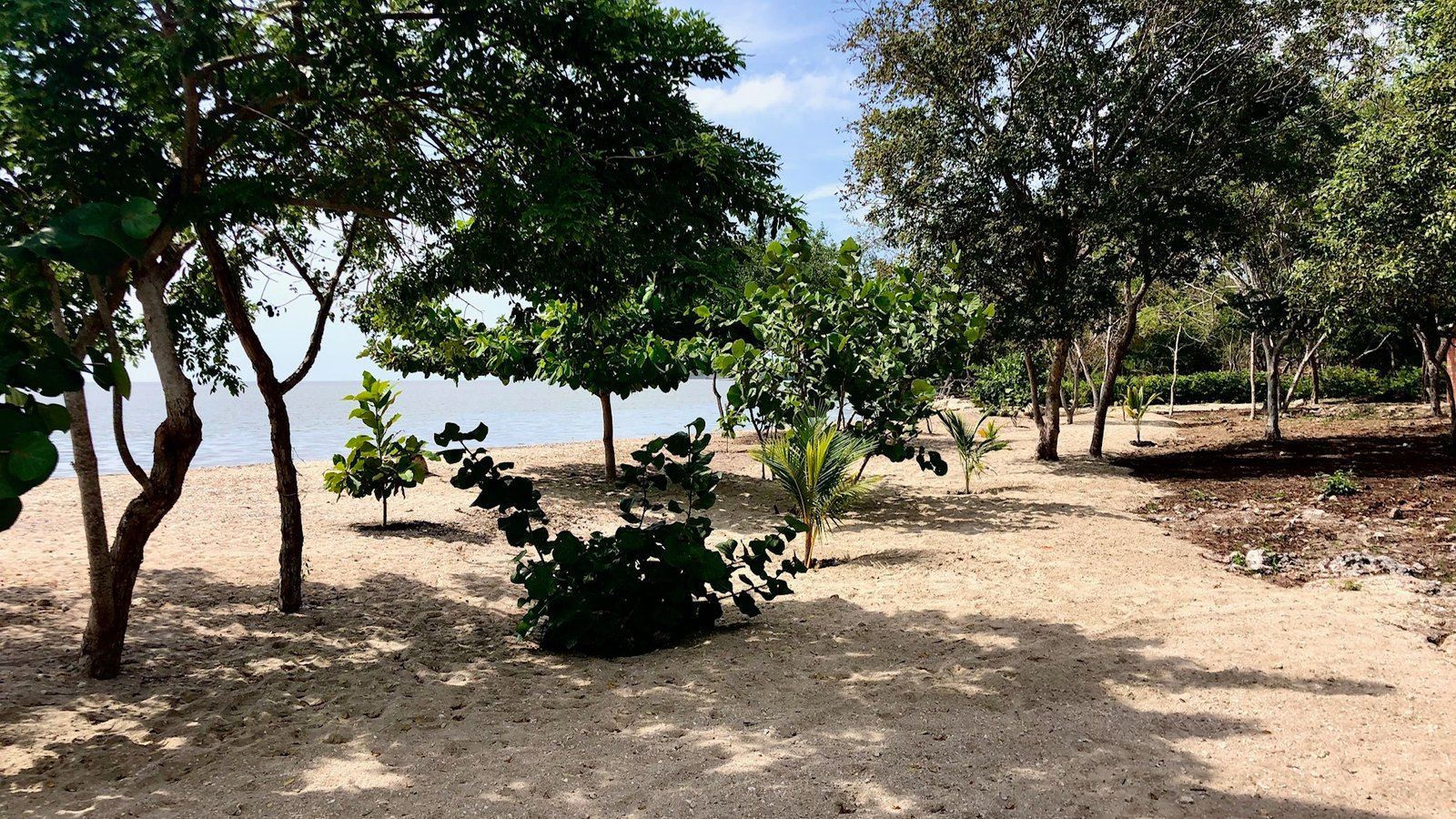 Casa Letty  Beach House – Barú, Colombia