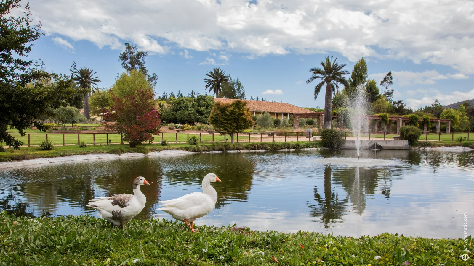 Gardens