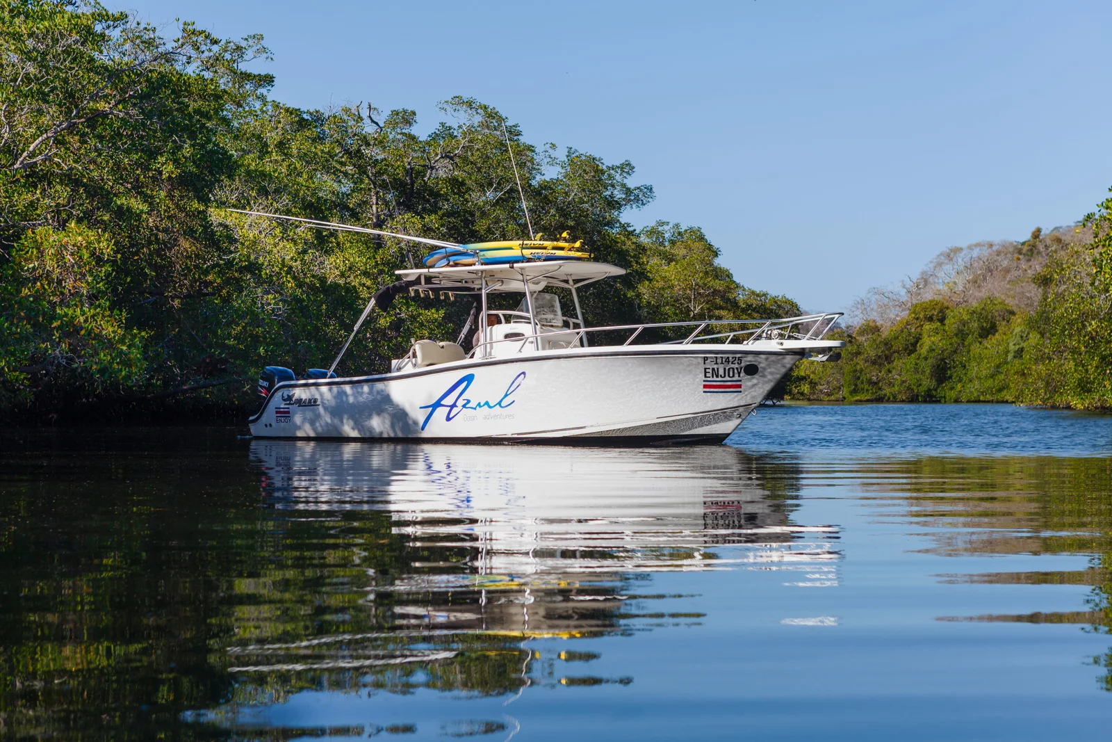 Private tour boats