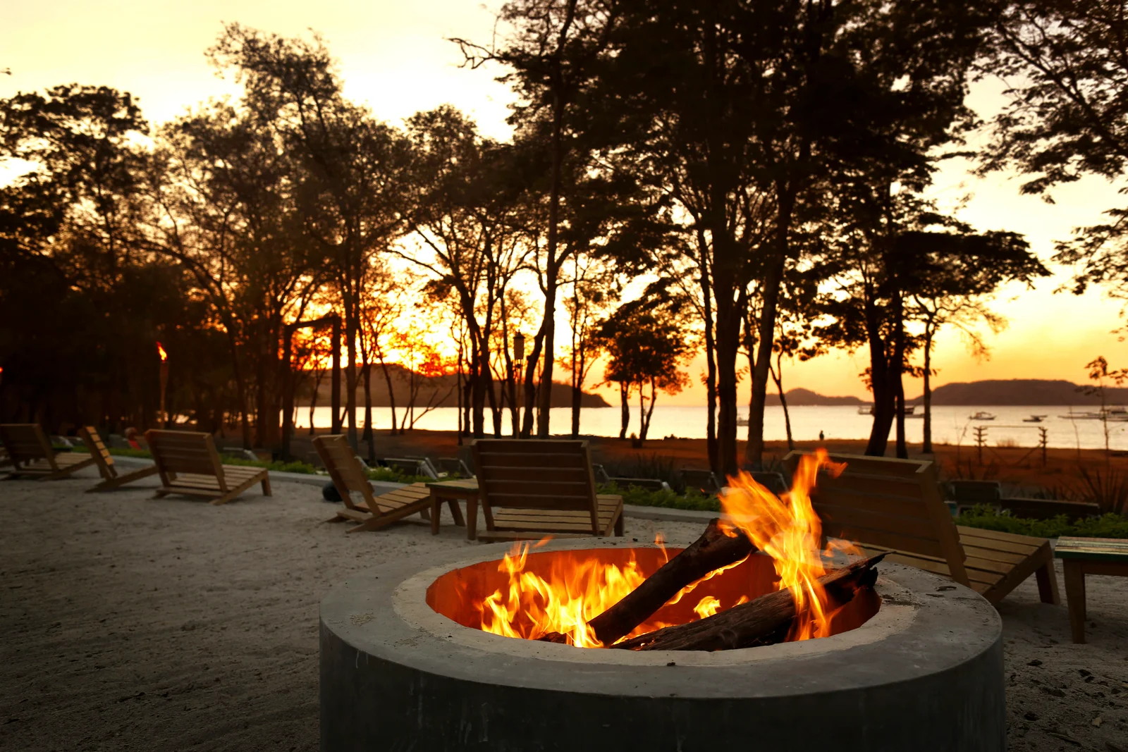 Bonfire