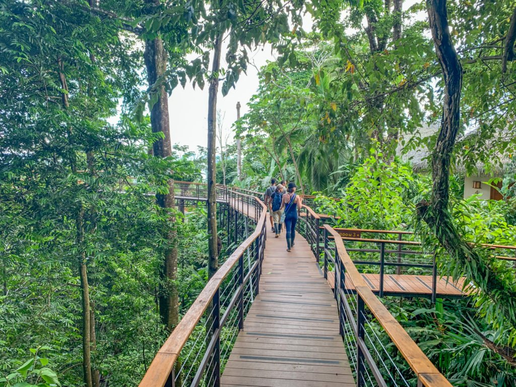 Costa Rica Lapa Rios Tropical Walkways