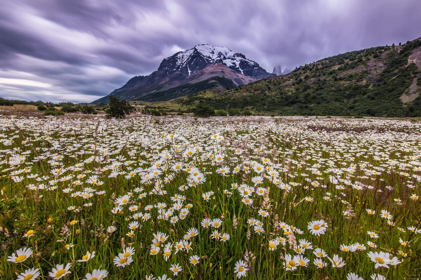 EcoCamp Patagonia View