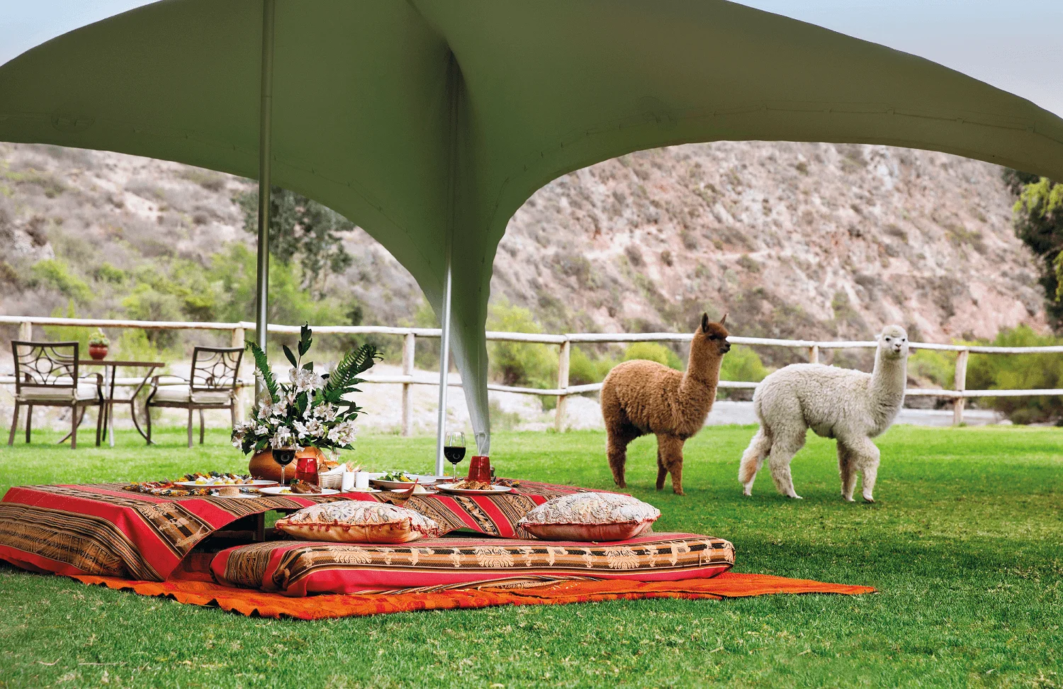 Picnic