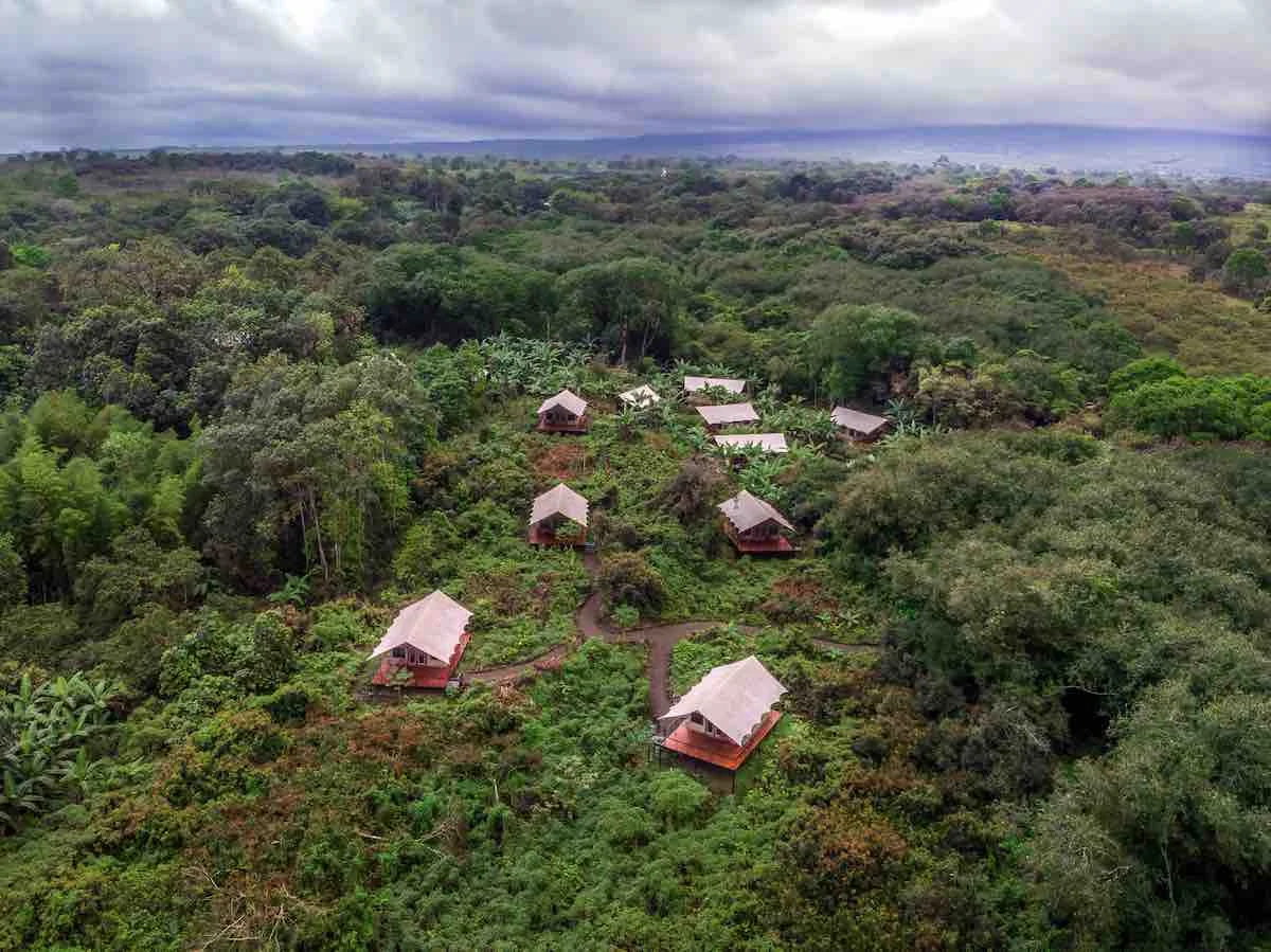 Scalesia Lodge Exterior
