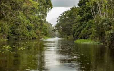 Sailing Peru’s Amazon: Aqua Expeditions