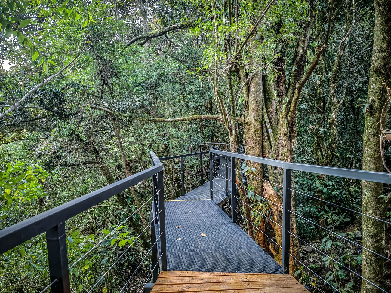 Cloud Forest Lodge