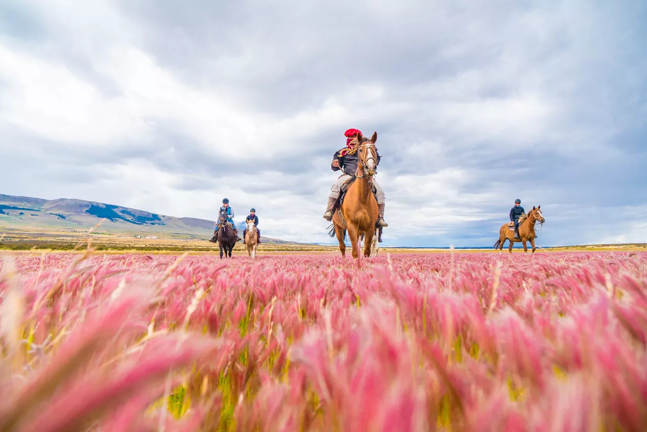 Activities - Horseback riding
