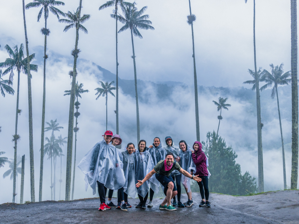 Group photo in front of palm trees and misty mountains