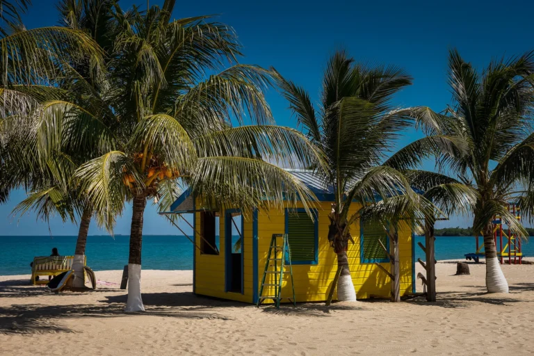 Palm trees next to a beach hut in Placencia, Belize