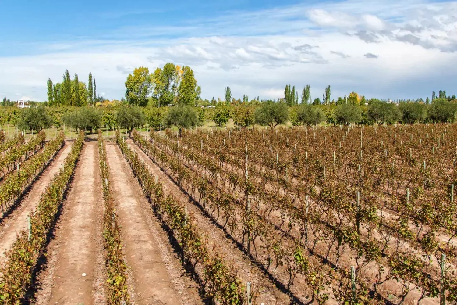 mendoza travel