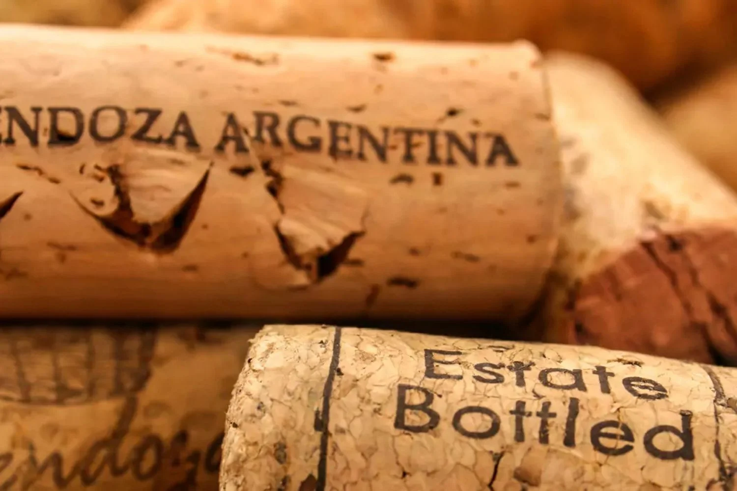 Mendoza travel and wine tasting by LANDED Travel