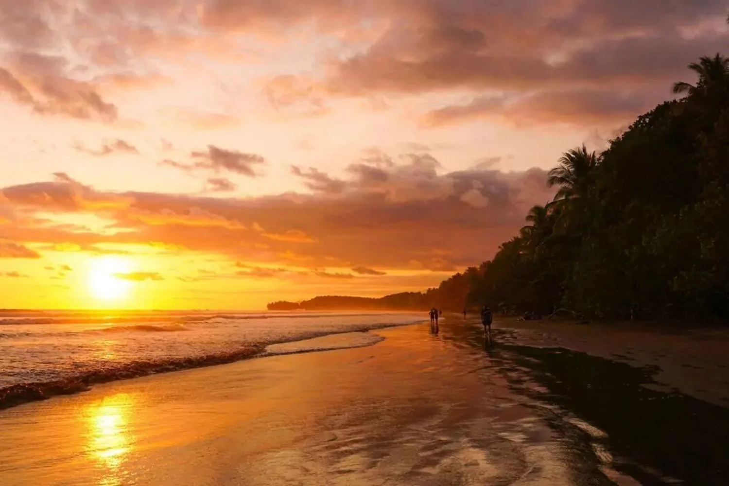 Marino Ballena National Park