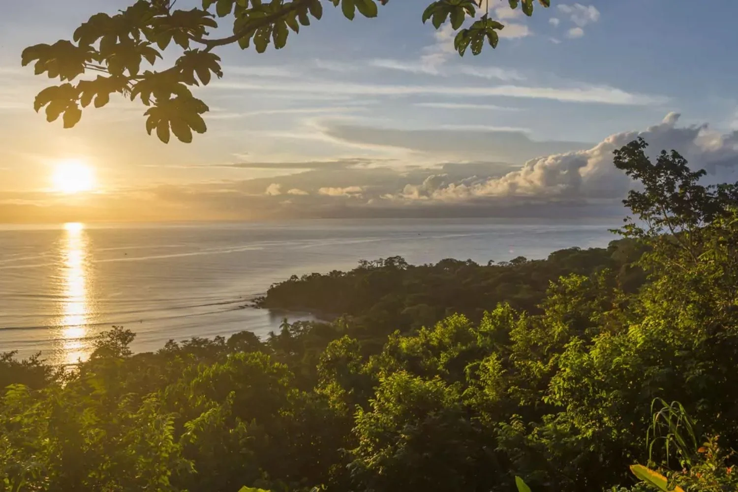 The Osa Peninsula - Luxury Travel in Costa Rica by LANDED Travel