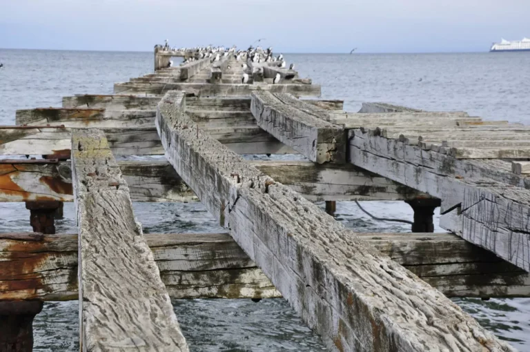 Punta Arenas